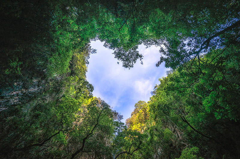 Εταιρεία Ανακύκλωσης Ξύλου - Rewood