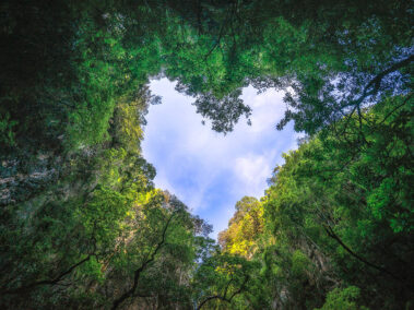 Εταιρεία Ανακύκλωσης Ξύλου - Rewood