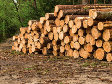 Εταιρεία Ανακύκλωσης Ξύλου - Rewood