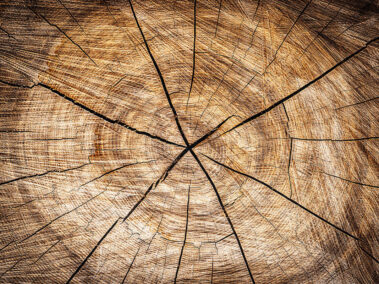 Εταιρεία Ανακύκλωσης Ξύλου - Rewood