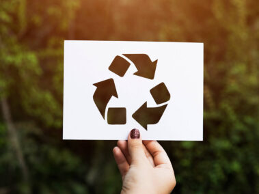 Εταιρεία Ανακύκλωσης Ξύλου - Rewood